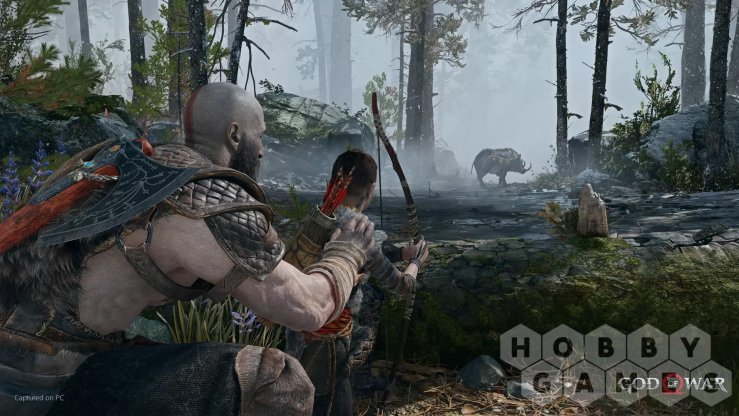 Вопросы про God of War (для PC/Steam) фото 3