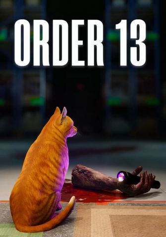ORDER 13 (для PC/Steam)