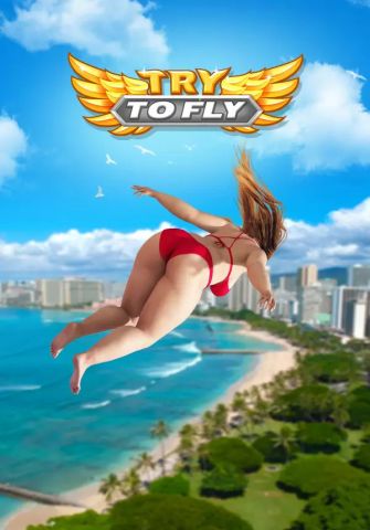 Try to Fly (для Mac, PC/Steam)
