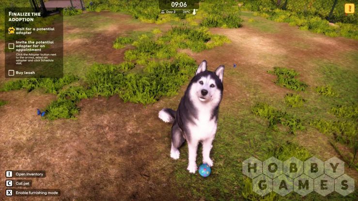 Animal Shelter 2 (для PC/Steam) фото 6