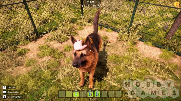 Animal Shelter 2 (для PC/Steam) фото 7