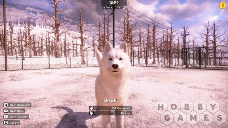 Animal Shelter 2 (для PC/Steam) фото 17