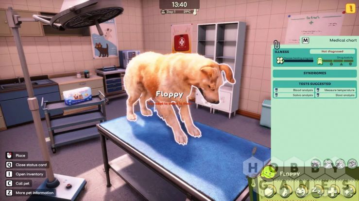 Animal Shelter 2 (для PC/Steam) фото 9