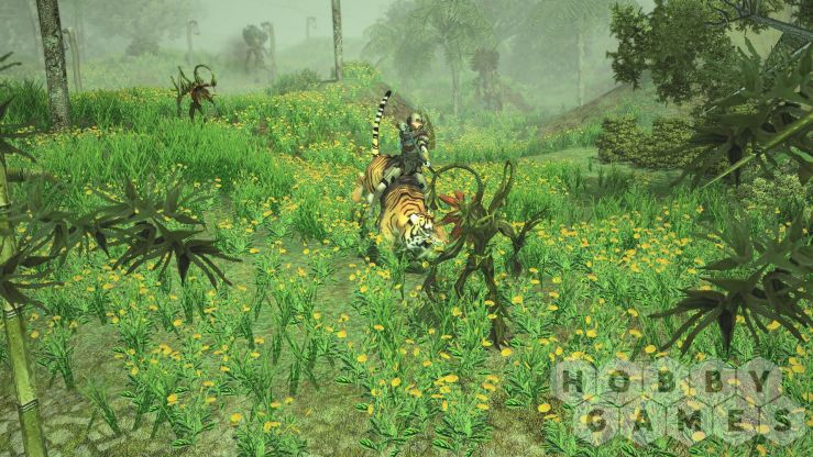Sacred 2 Remaster (для PC/Steam) фото 2