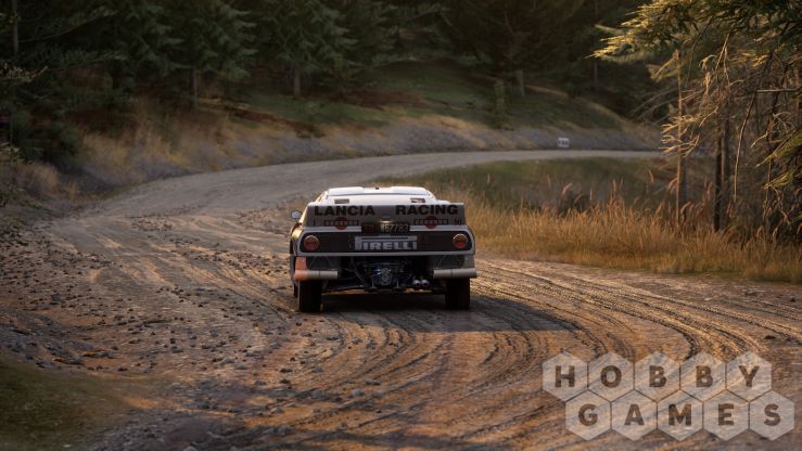 Assetto Corsa Rally (для PC/Steam) фото 10