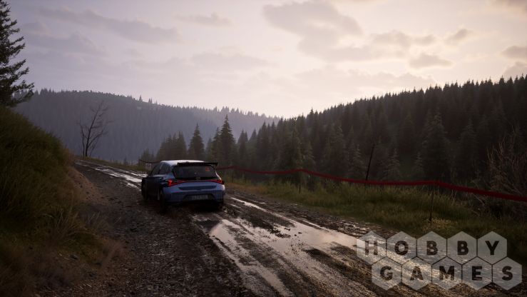 Assetto Corsa Rally (для PC/Steam) фото 8