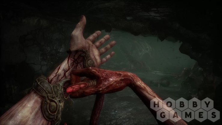 Scorn - Deluxe Edition (STEAM) (для PC/Steam) фото 2