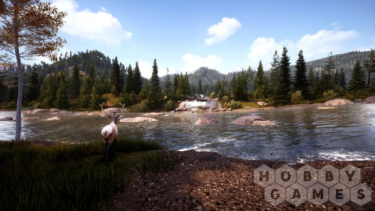 Вопросы про Hunting Simulator 2 - Bear Hunter Edition (для PC/Steam) фото 9
