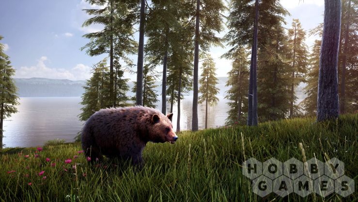 Вопросы про Hunting Simulator 2 - Bear Hunter Edition (для PC/Steam) фото 4