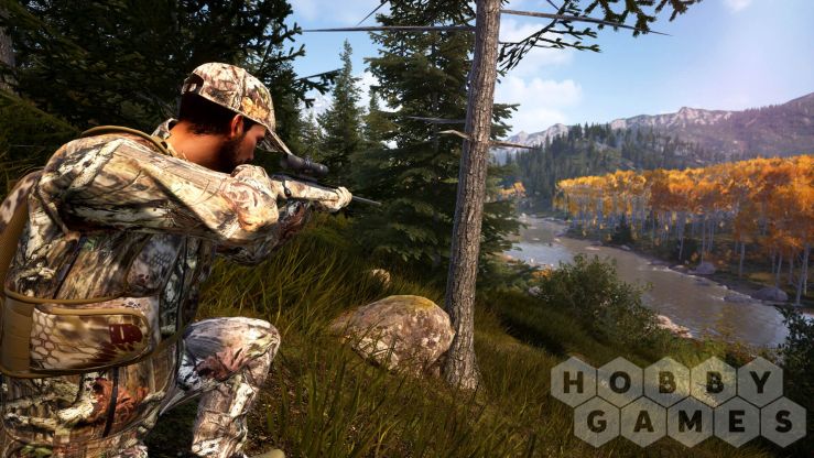 Вопросы про Hunting Simulator 2 - Bear Hunter Edition (для PC/Steam) фото 2