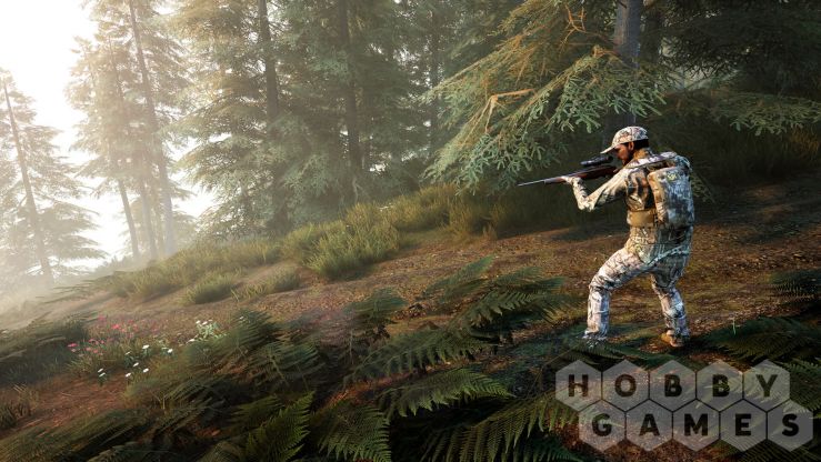 Вопросы про Hunting Simulator 2 - Bear Hunter Edition (для PC/Steam) фото 5