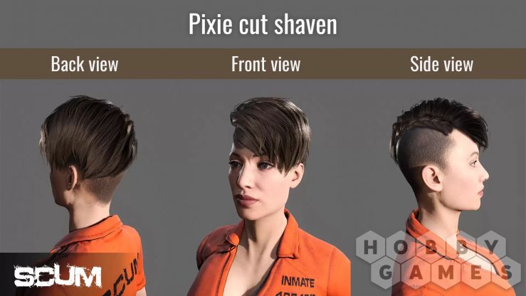 Вопросы про SCUM: Female Hair Pack (для PC/Steam) фото 9