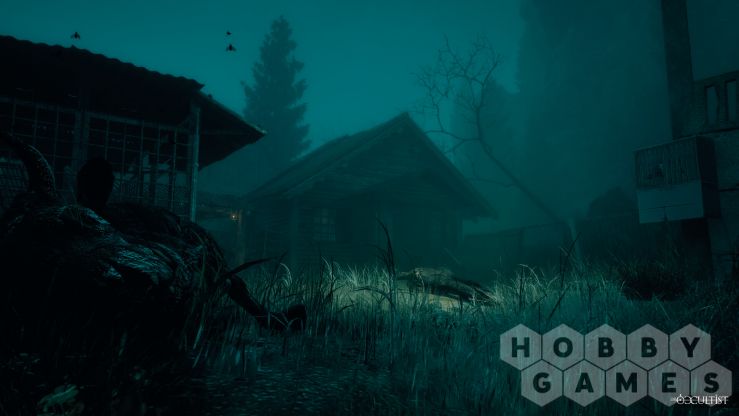 The Occultist (для PC/Steam) фото 9