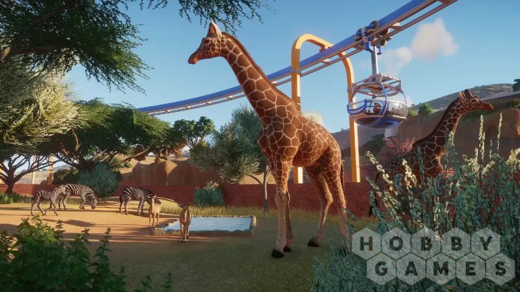Вопросы про Planet Zoo (для PC/Steam) фото 5