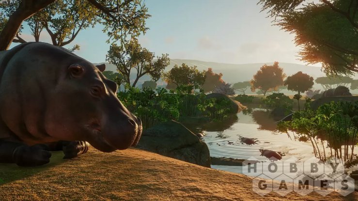 Вопросы про Planet Zoo (для PC/Steam) фото 10