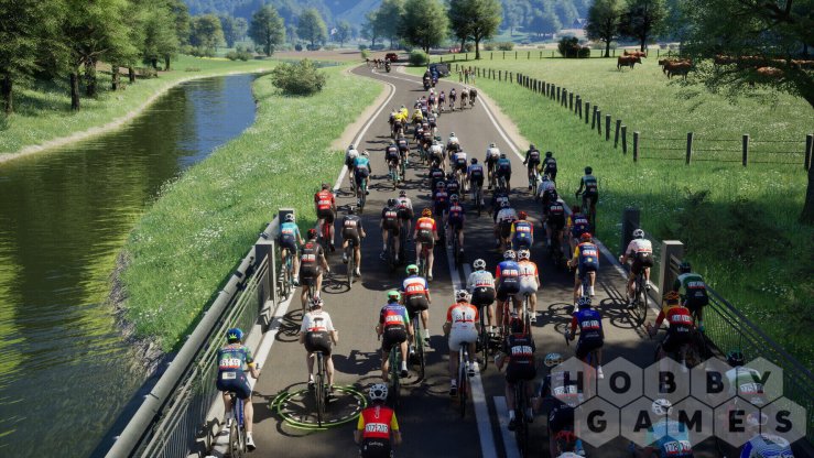 Pro Cycling Manager 26 (для PC/Steam) фото 5