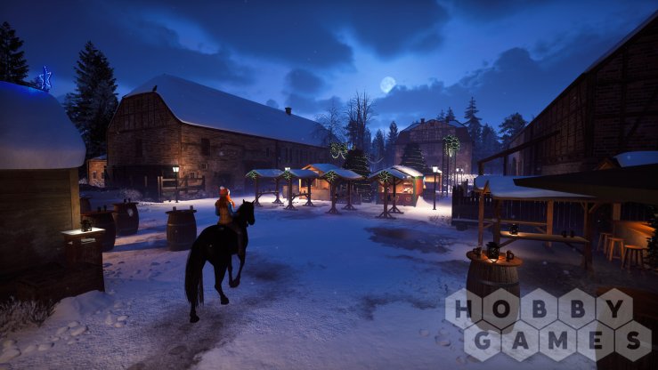 Windstorm: Start of a Great Friendship Remastered - Winter Wonderland (для PC/Steam) фото 2