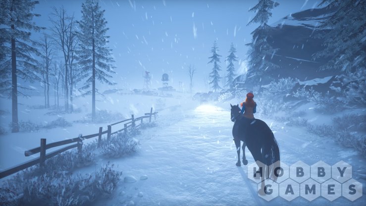 Windstorm: Start of a Great Friendship Remastered - Winter Wonderland (для PC/Steam) фото 3