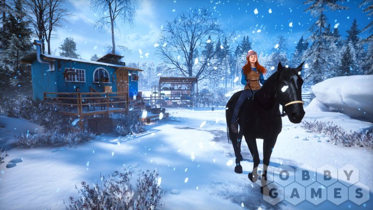 Windstorm: Start of a Great Friendship Remastered - Winter Wonderland (для PC/Steam) фото 5