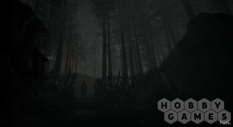 Husk (для PC/Steam) фото 3