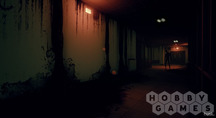 Husk (для PC/Steam) фото 4