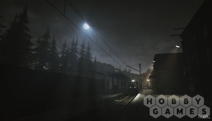 Husk (для PC/Steam) фото 6
