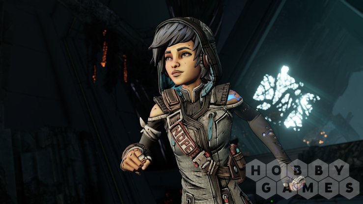 Borderlands 3: Director&#039;s Cut (Epic) (для PC/Epic) фото 9