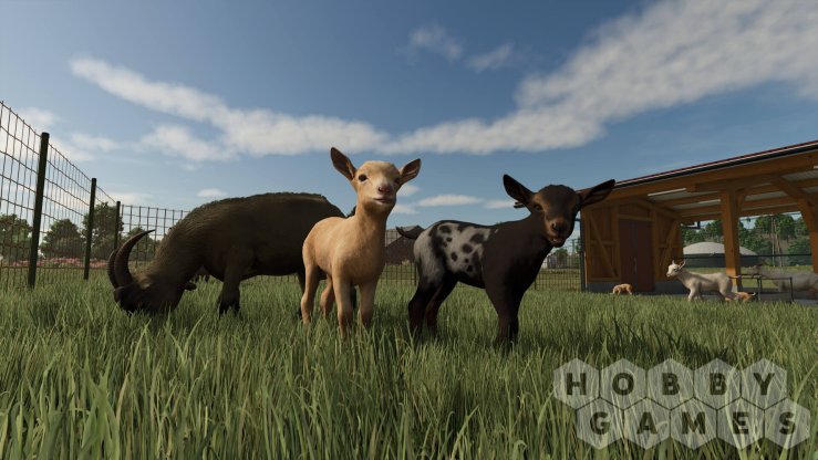 Farming Simulator 25 - Beans &amp; Alpacas Edition (для PC, Mac/Steam) фото 5