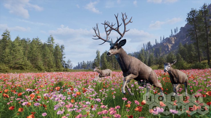 Отзывы о Way of the Hunter 2 (для PC/Steam) фото 2