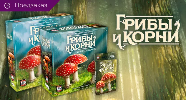 Грибы и корни