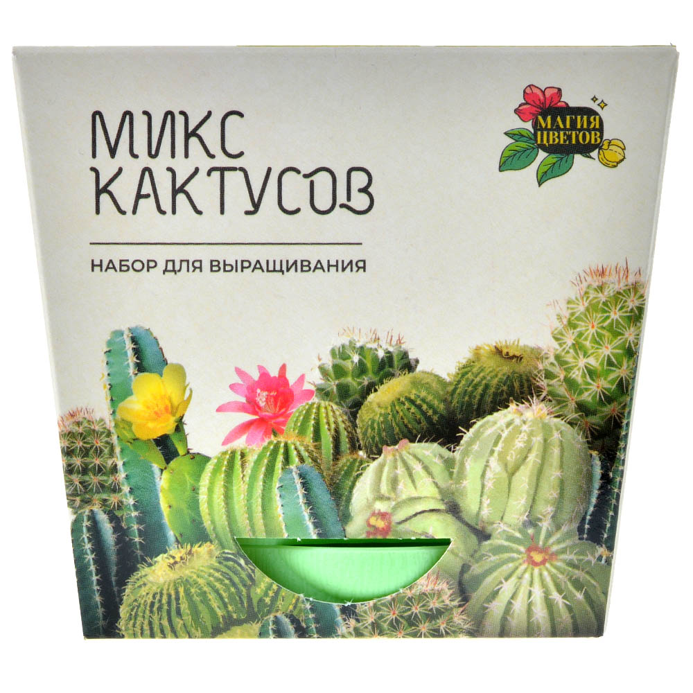 Магия цветов: Микс кактусов