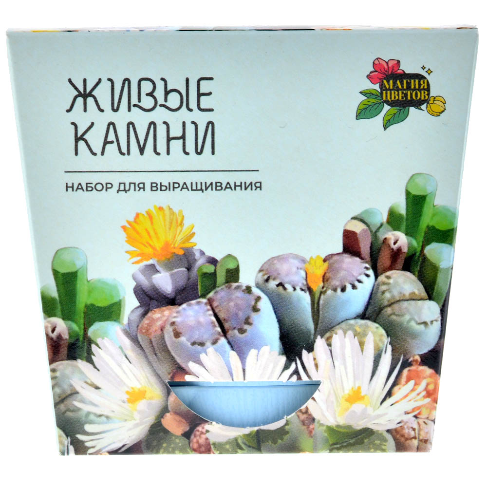 Магия цветов: Литопсы микс | Hobby Games