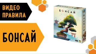 Видео «Правила игры "Бонсай"»