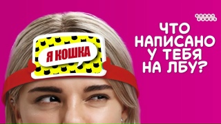 Видео «Трейлер игры "На лбу написано"»