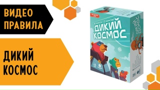 Видео «Правила игры "Дикий космос"»