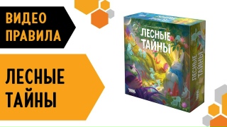 Видео «Правила игры "Лесные тайны"»