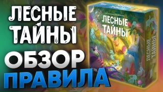 Видео «Обзор и правила игры "Лесные тайны"»