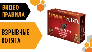 Видео «Правила игры "Взрывные котята"»