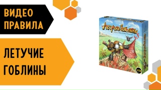 Видео «Правила игры "Летучие гоблины"»