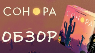 Видео «"Сонора": обзор настольной игры. Нащёлкай победу!»