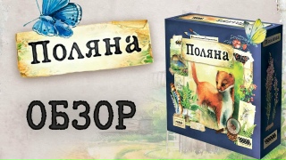Видео «Обзор игры "Поляна"»