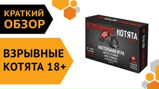 Видео «Краткий обзор игры "Взрывные котята 18+"»