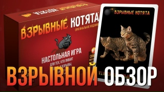 Видео «Обзор игры 'Взрывные котята'»