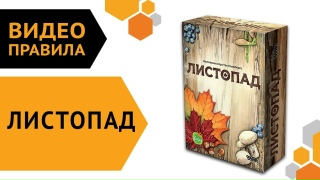 Видео «Правила игры "Листопад"»