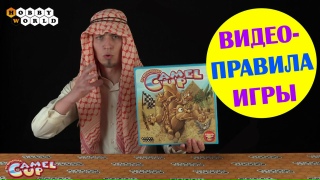Видео «Правила игры Camel UP»