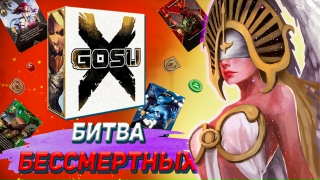 Видео «Обзор игры "Госу Икс"»